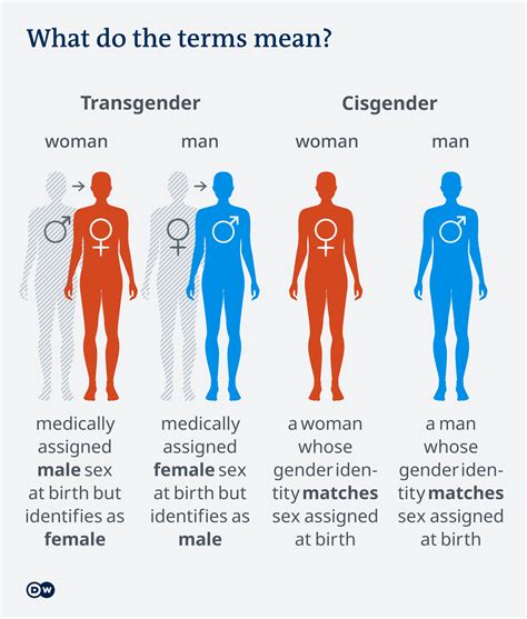 shemale|shemale meaning: Transgender woman with male genitals